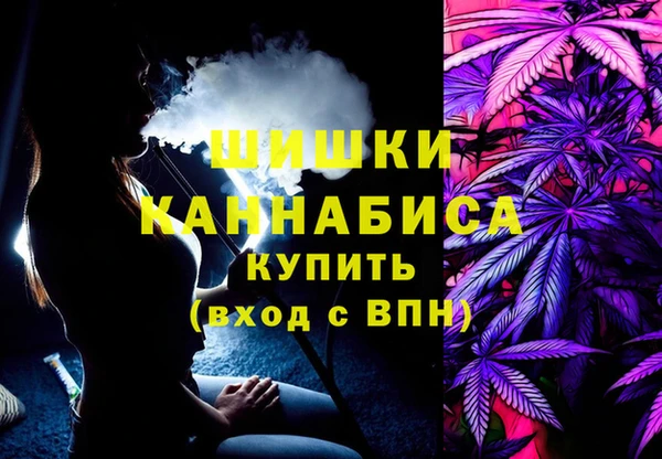 кокс Белокуриха