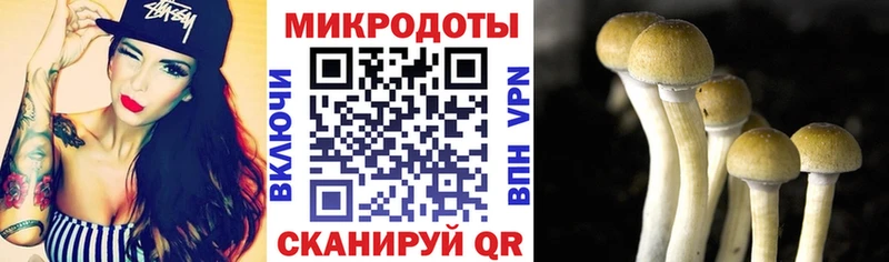 Псилоцибиновые грибы ЛСД  Высоковск 